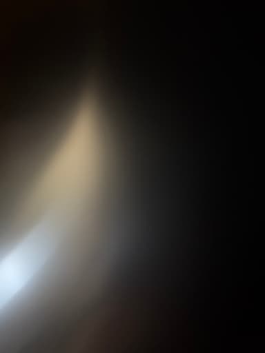 Ariel Sewell ā UGC Creator on Pitchlo